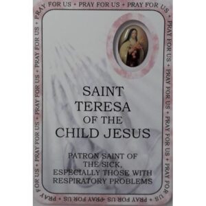 Saint Teresa of the Child Jesus prayer booklet